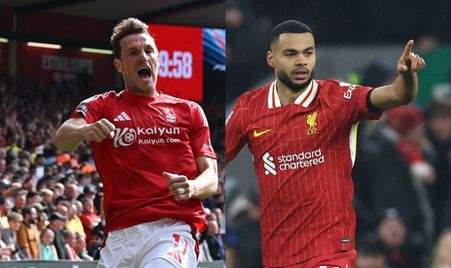 日的庆祝 日的庆祝